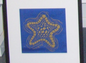 Star Fish Framed Print